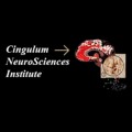 cingulumneurosciences