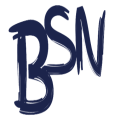 bsnwritingservices